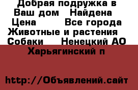 Добрая подружка,в Ваш дом!!!Найдена › Цена ­ 10 - Все города Животные и растения » Собаки   . Ненецкий АО,Харьягинский п.